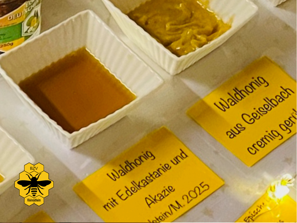 Waldhonig mit Edelkastanie und Akazie und cremig gerührter Waldhonig auf der Honigverkostung.